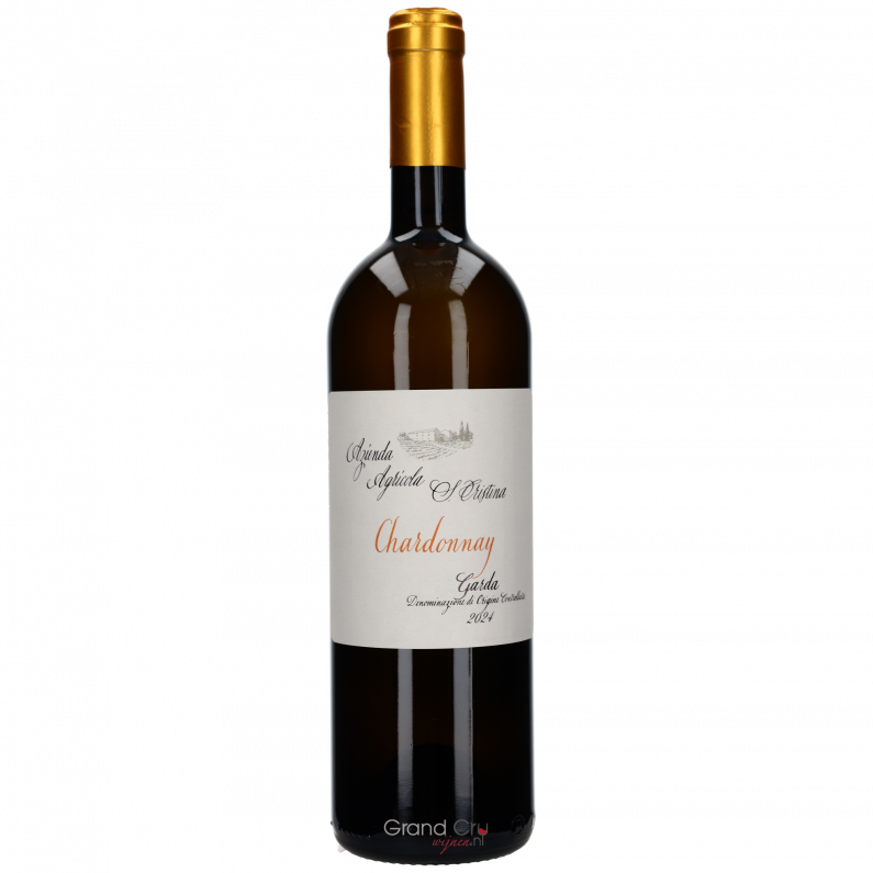 2024 Zenato Santa Cristina Chardonnay