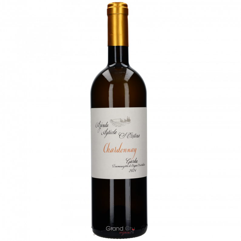 2024 Zenato Santa Cristina Chardonnay