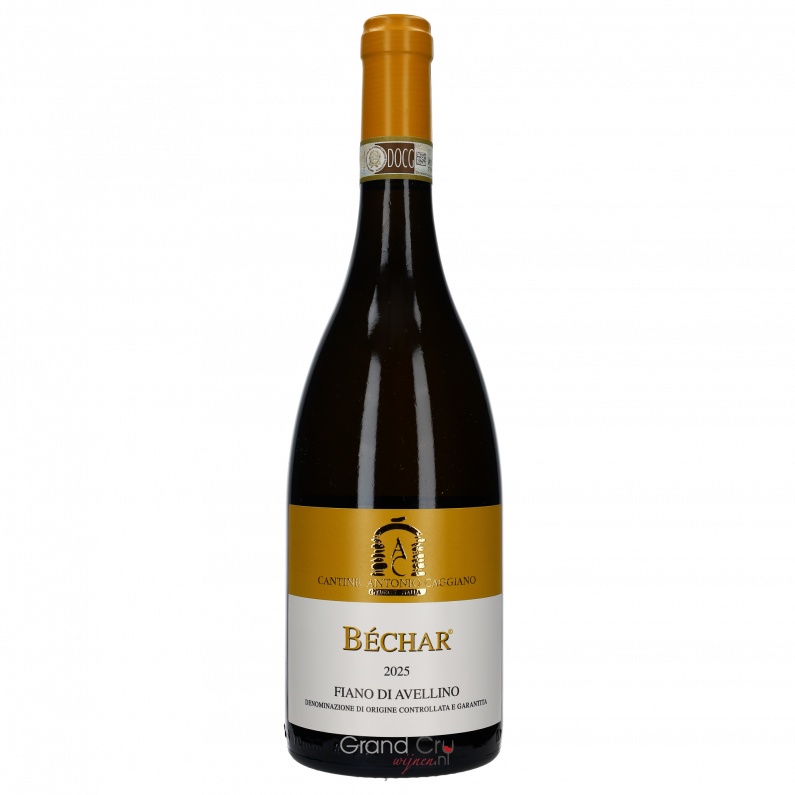 2025 Antonio Caggiano Bechar Fiano di Avellino