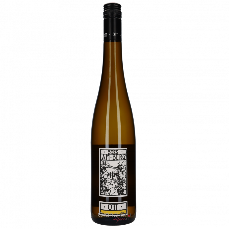 2025 Bernhard Ott Grüner Veltliner Am Berg BIO