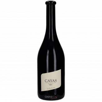 2021 Jean-René Germanier Syrah du Valais Réserve Cayas