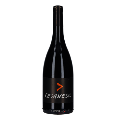 2020 l'Olivella Cesanese