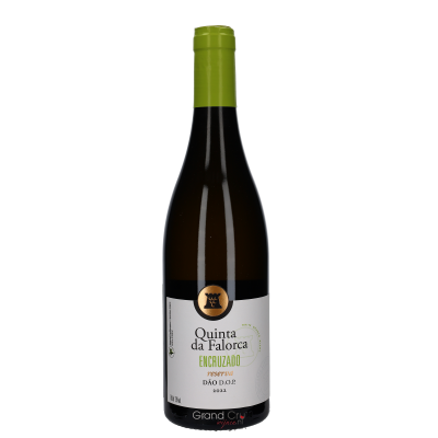 2022 Quinta da Falorca Encruzado Reserva Blanco