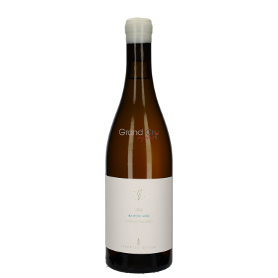 2022 Veronica Ortega Tormenta