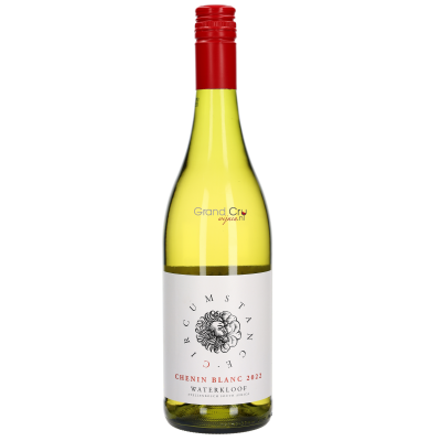 2022 Waterkloof Circumstance Chenin Blanc