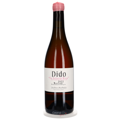 2023 Venus la Universal Dido La Solució Rose