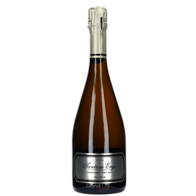 2024 Emilio Moro El Zarzal