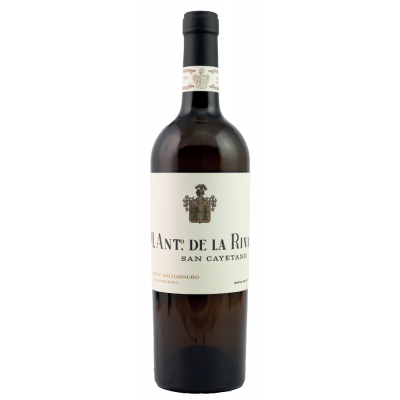 2024 Manuel Antonio De la Riva Jerez Macharnudo San Cayetano Vino de Pasto