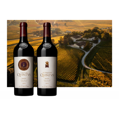 2025 Château Quintus Le Dragon de Quintus