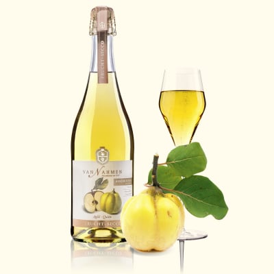 Van Nahmen Sparkling Juicy Tea Roos Darjeeling Rabarber 0% BIO