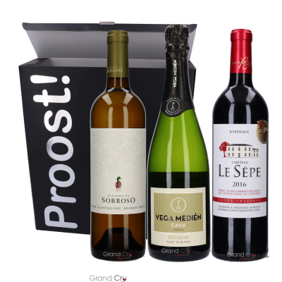 Wijnpakket Fraai Rood, Wit en Bubbel in Wijnbox Proost