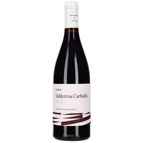 2018 Valdesil Valderroa Carballo