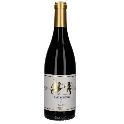 2022 Günther Steinmetz Kestener Paulinsberg Pinot Noir * 