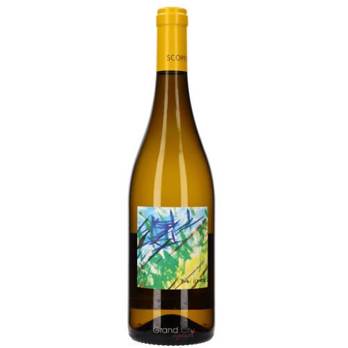 2021 Bibi Graetz Scopeto Bianco