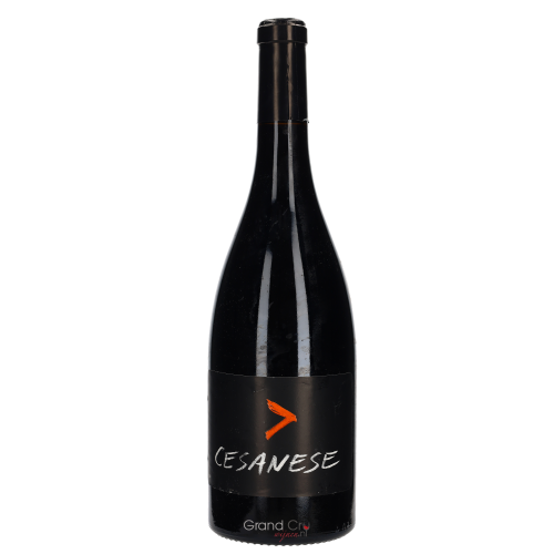 2021 l'Olivella Cesanese
