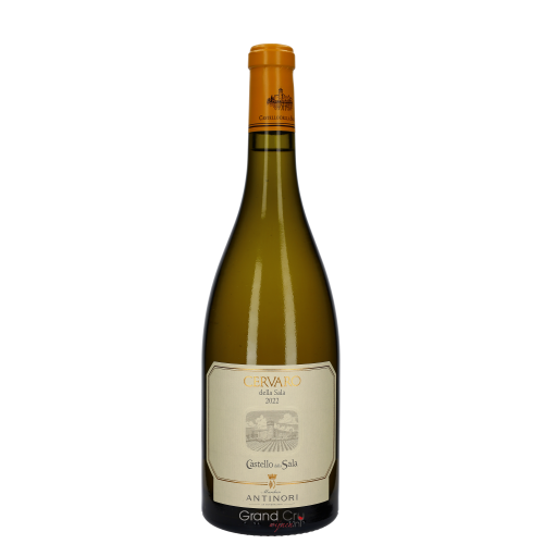 2023 Antinori Cervaro della Sala 
