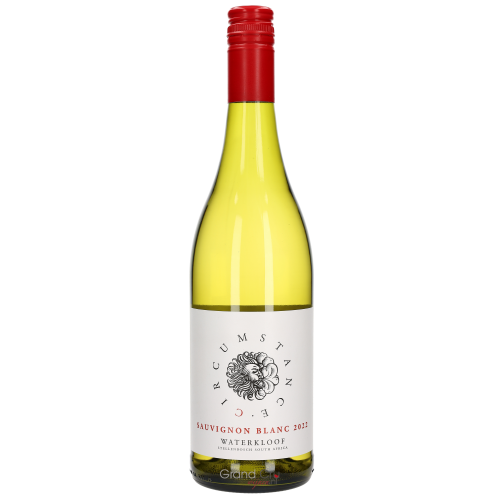2022 Waterkloof Circumstance Sauvignon blanc