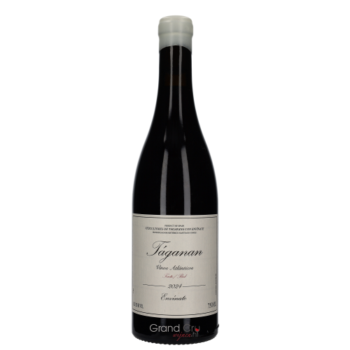 2024 Envinate Taganan Tinto