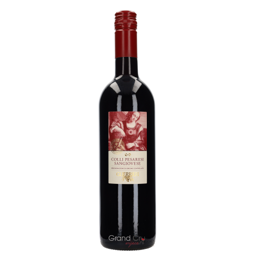 2024 Guerrieri Colli Pesaresi Sangiovese