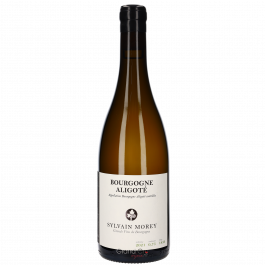 2021_Domaine_Sylvain_Morey_Bou
