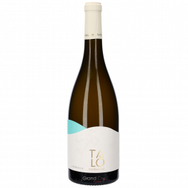 2024 San Marzano Talo Verdeca