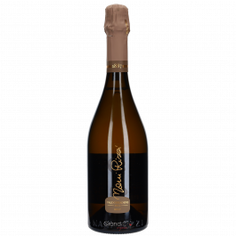 Nani Rizzi Valdobbiadene Prosecco Superiore Brut