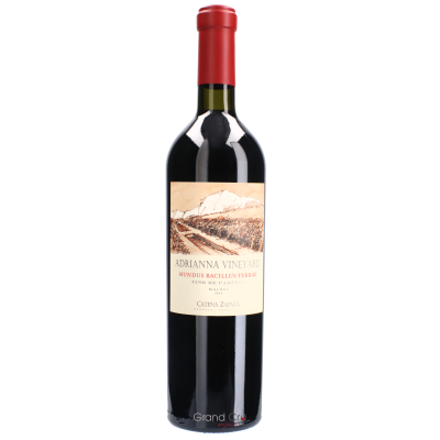 2016 Bodegas Catena Zapata Adrianna Mundus Bacillus Terrae