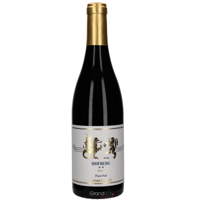 2019 Günther Steinmetz Pinot Noir Dhroner Hofberg **