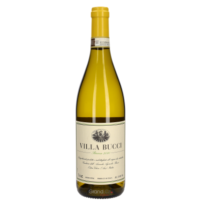 2020 Villa Bucci Verdicchio Castelli di Jesi Riserva