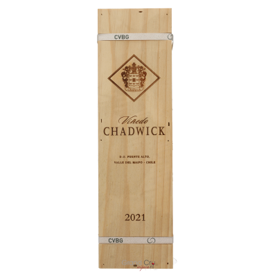 2021 Vinedo Chadwick Magnum