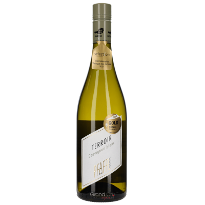 2021 Weingut Pfaffl Sauvignon Blanc Terroir