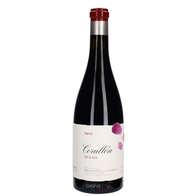 2022 Descendientes de José Palacios Villa de Corullón Bierzo