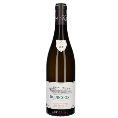 2023 Domaine Borgeot Bourgogne Blanc