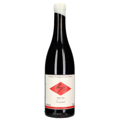 2023 Envinate Benje Tinto