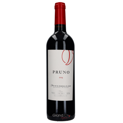 2023 Finca Villacreces Pruno