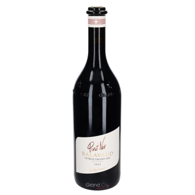 2023 Jean-René Germanier Balavaud Vetroz Grand Cru Pinot Noir