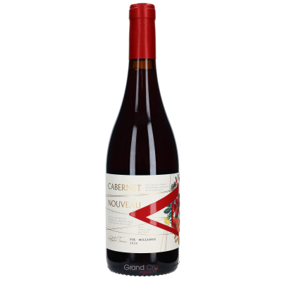 2024 Viña Vik Winery A Cabernet Nouveau
