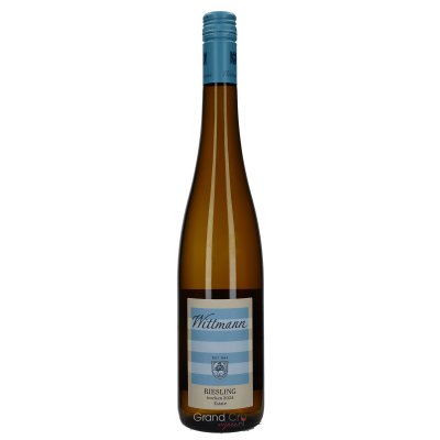 2024 Weingut Wittmann Riesling Trocken BIO