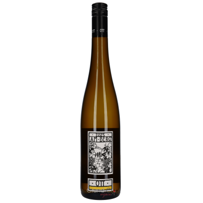 2025 Bernhard Ott Grüner Veltliner Am Berg BIO