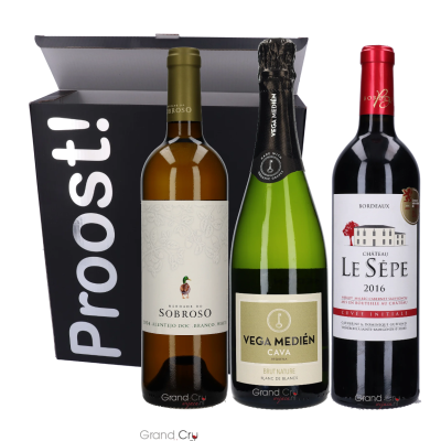 Wijnpakket Fraai Rood, Wit en Bubbel in Wijnbox Proost