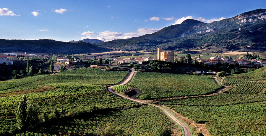 bodegas remirez de ganuza bodegas remirez de ganuza